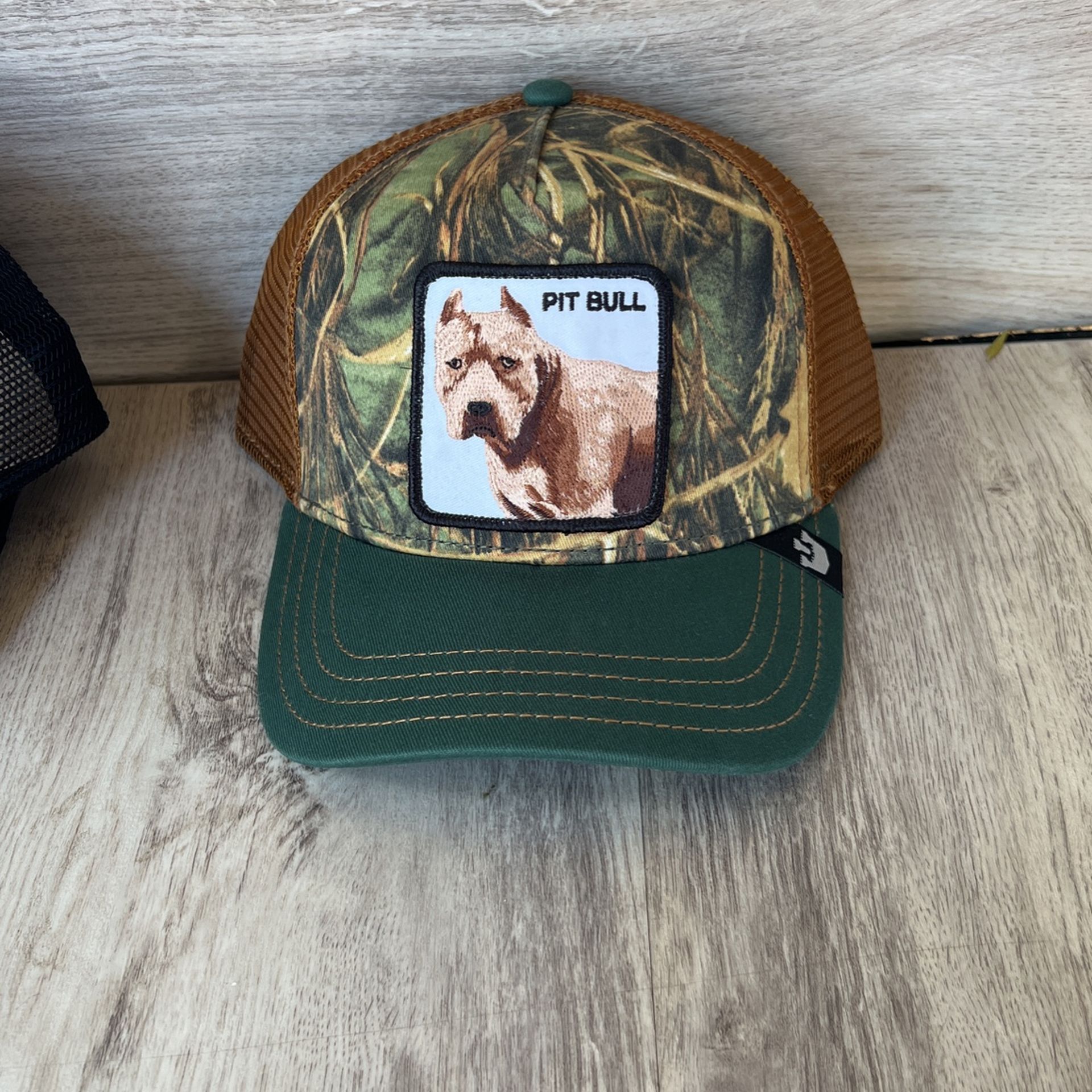 Pit Bull Goorin bros adjustable hat 🧢