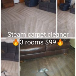 Carpet Steam Cleaner 