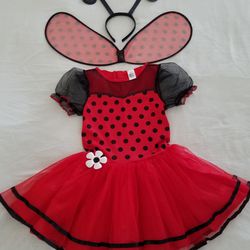 Kids ladybug halloween costume- Size M