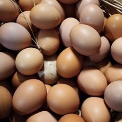 Farm EGGS. Huevo De Rancho