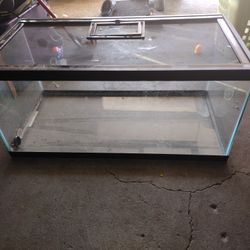 3 Fish Tank 2 36 gallons $75ach   And one 55 Gallons$200 