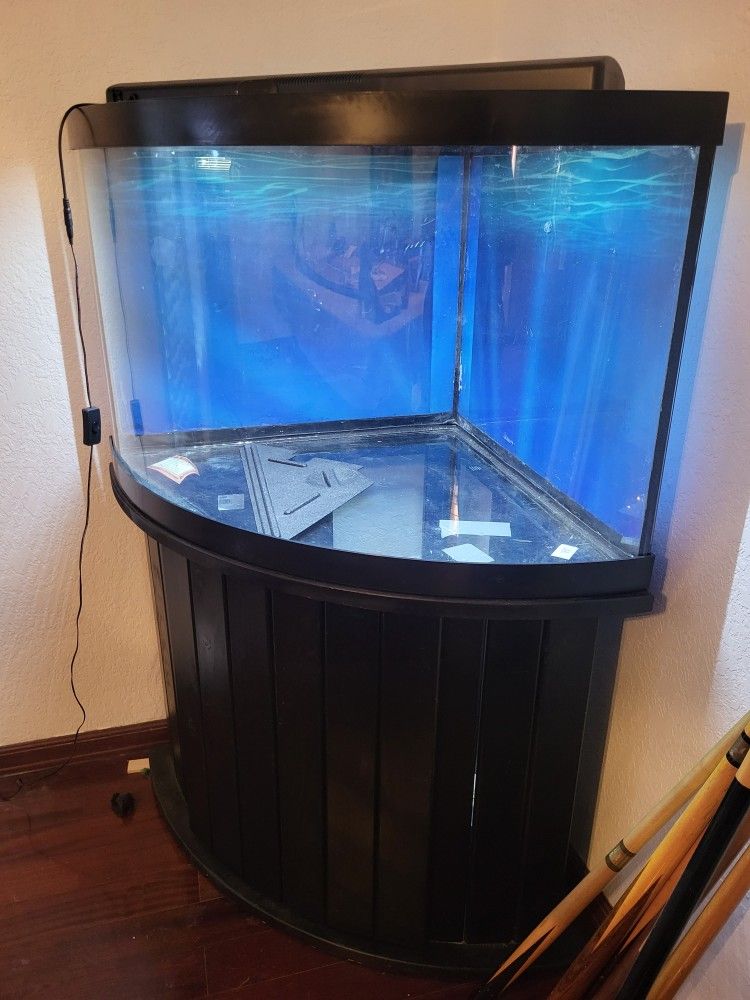 50 Gallon Corner Fish Tank