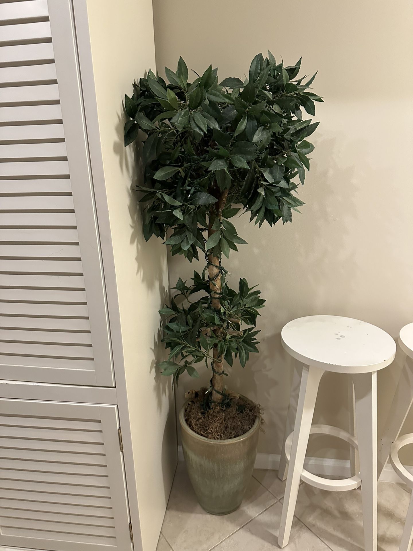 Artificial Ficus