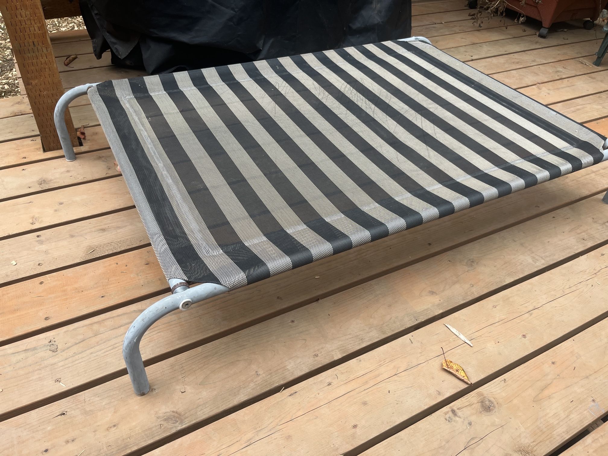 Raised Outdoor Dog Bed, XL