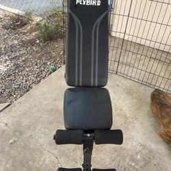 FLYBIRD Adjustable Bench 