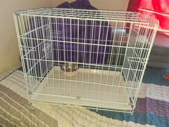 Pet Cage / kennel