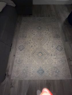 Beautiful Area Rug 7.7ft Long