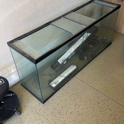 Fish Tank 