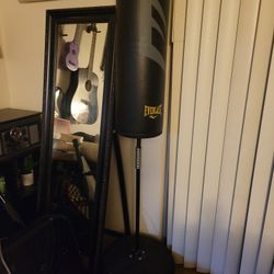 Everlast Boxing Punching Bag