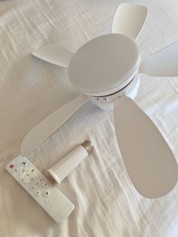 Fan light