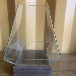 Vintage Glass terrarium