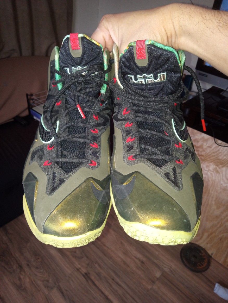 LeBron Sneaker Size 11 No Box.