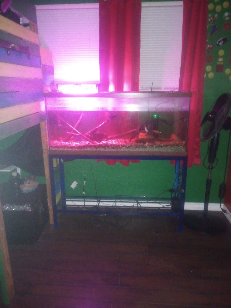 55 Gallon Fish Tank 