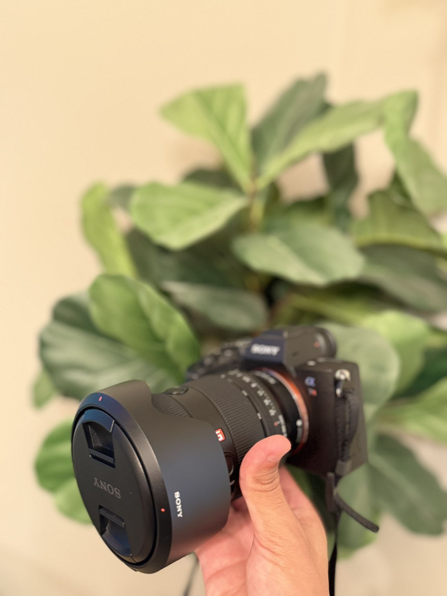 Sony A7RIV Camera Body Only