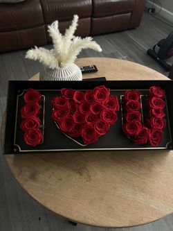 Roses Flowers