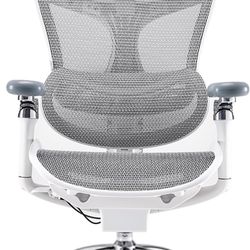 SIHOO Doro C300 Pro Ergonomic Office Chair with Ultra-Soft 6D Armrests, Dynamic Lumbar Support, Seat Depth Adjustment, Adjustable Backrest, Big and Ta