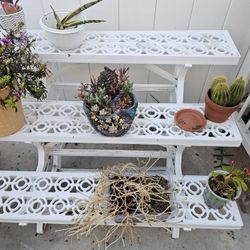 3 Tier Plant Stand (New In Box)