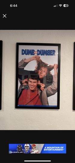 Dumb And Dumber Movie Poster