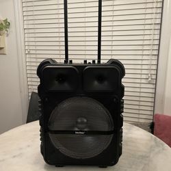 Brand New Bosbos Panda Bluetooth Speaker w/ Mic – LOUD & Fun! 🔊
