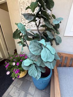 Synthetic fig tree  - $25
