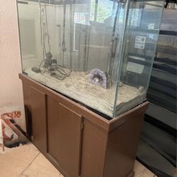 Fish Tank 