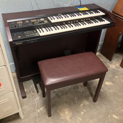 Organ