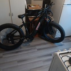 Young Electric  E Bike