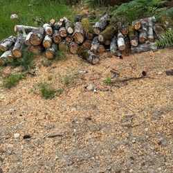 Firewood - 1/2 Cord - Some Chopped - Tree Still Need Choppec 