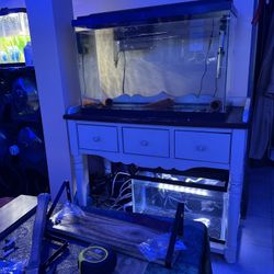 Message For Info “fish Tank “