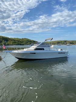 1991 Proline Walk around