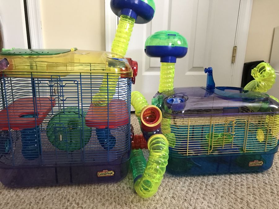 Two hamster cages with connecting tunnels