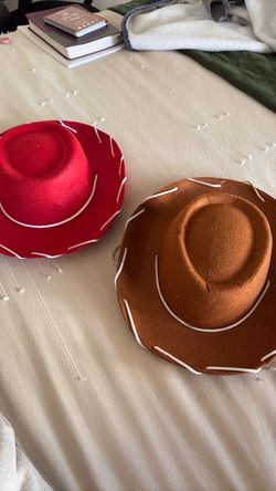 TOY STORY (Jessie and Woody Hats )