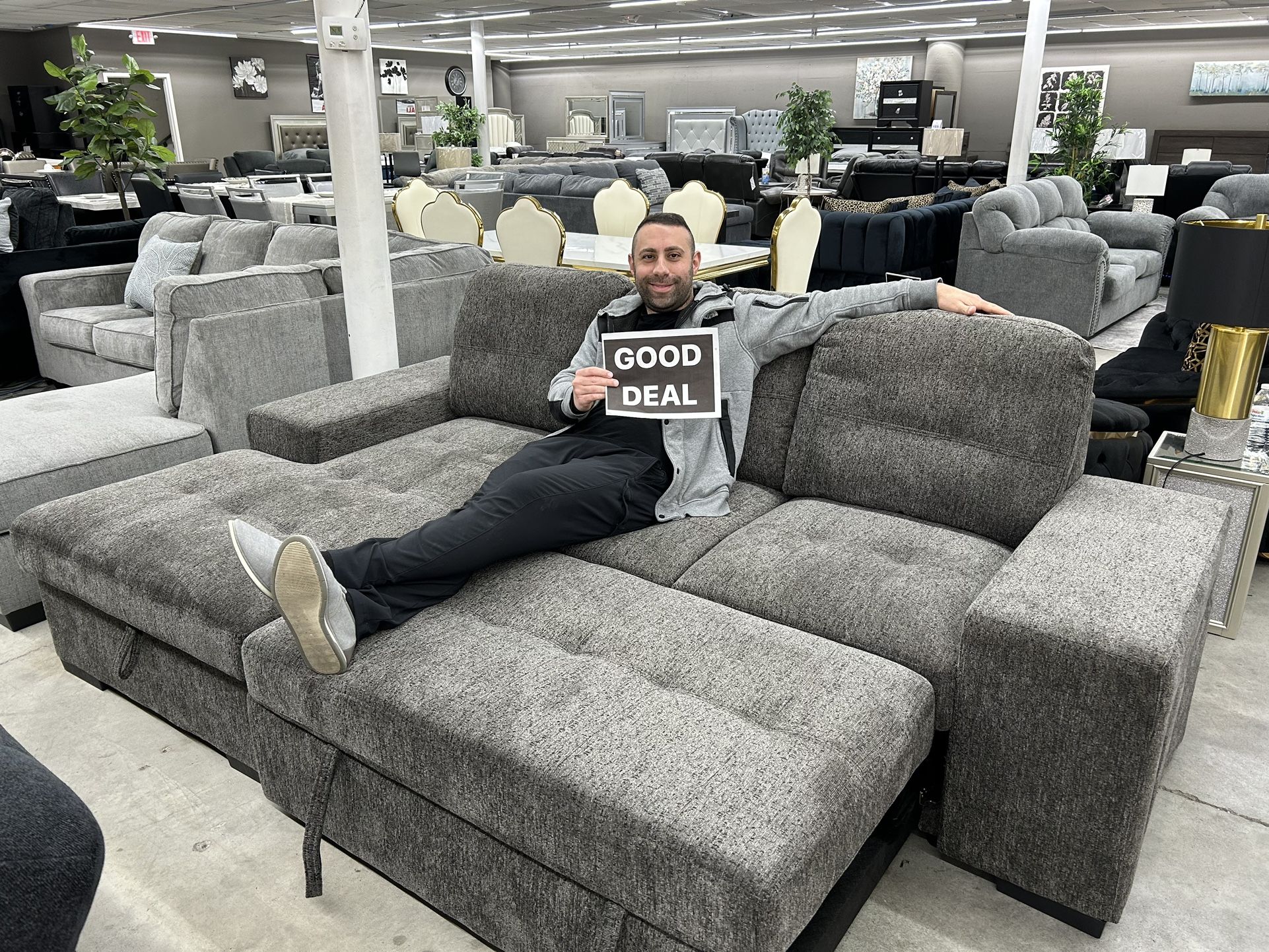 NEW SLEEPER SOFA