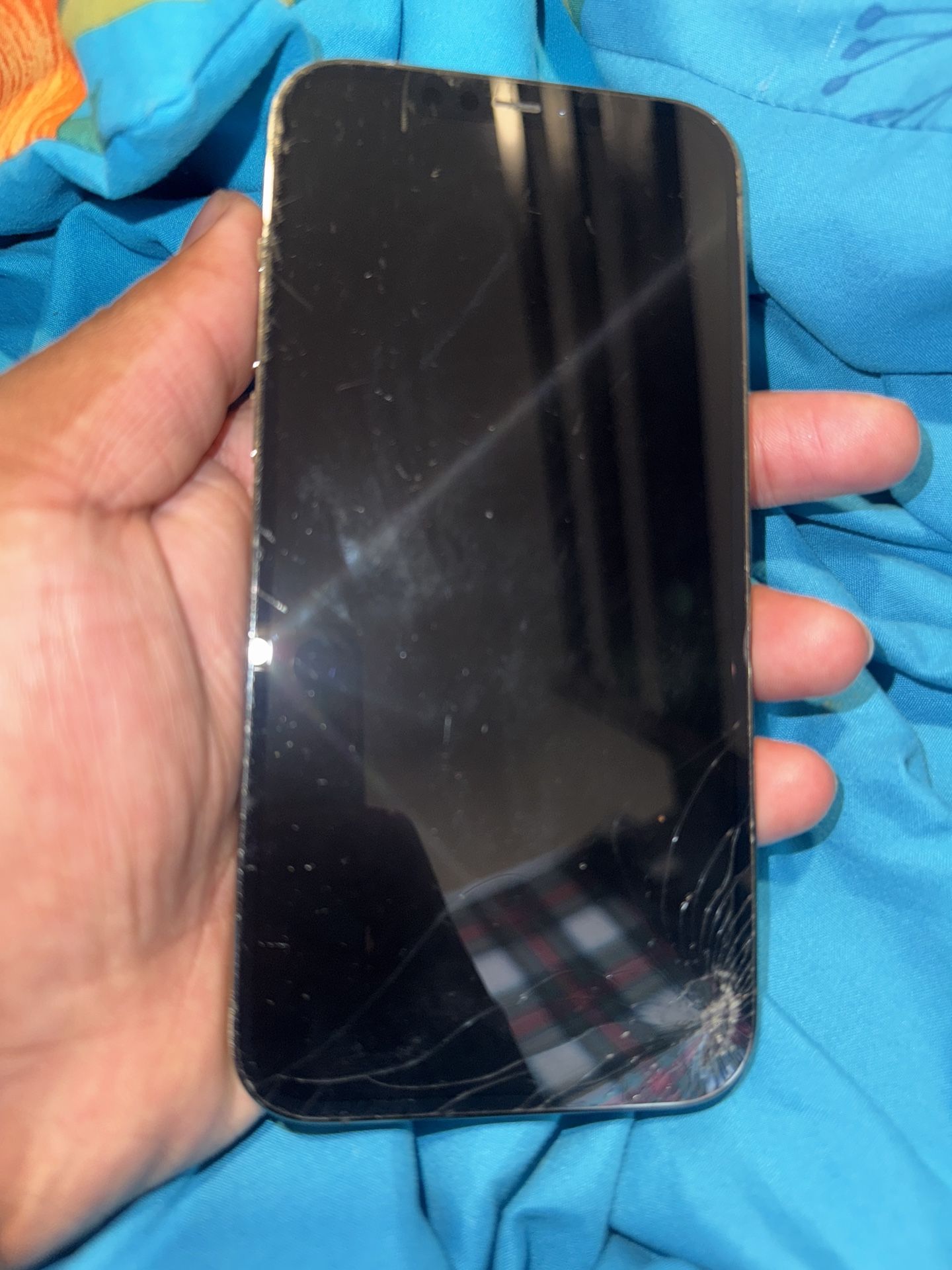 iPhone 12 Pro Max