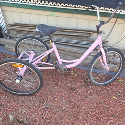 3 Wheel Bike