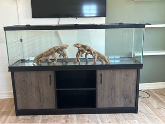 150 Gallon fish tank with stand & lights - terrarium branch decor