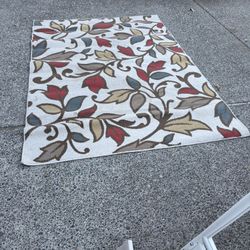 Each Rugs $10