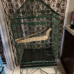 Bird Cage