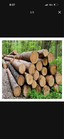Loggs wood ready for delivery