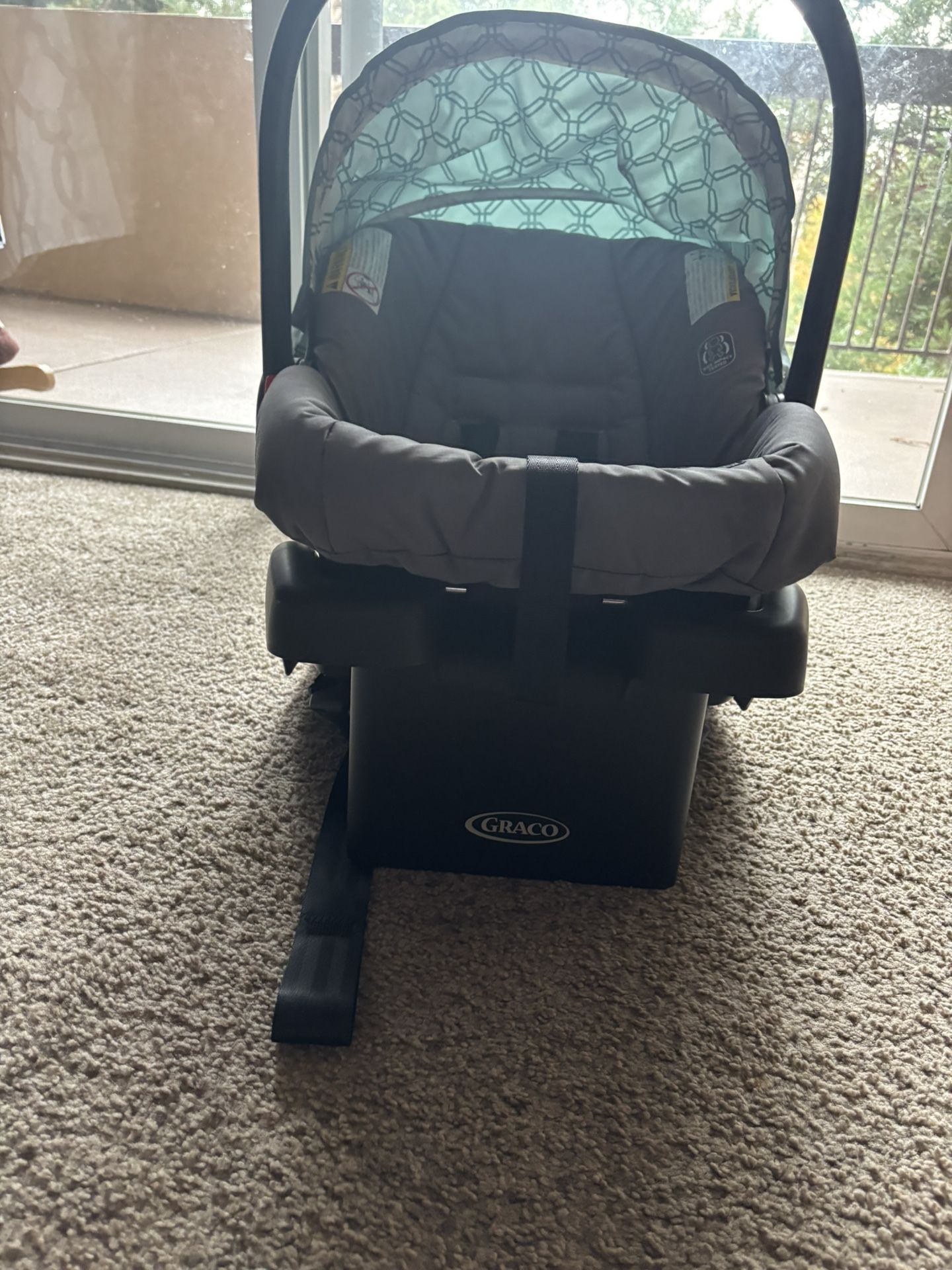 Graco Car Seat