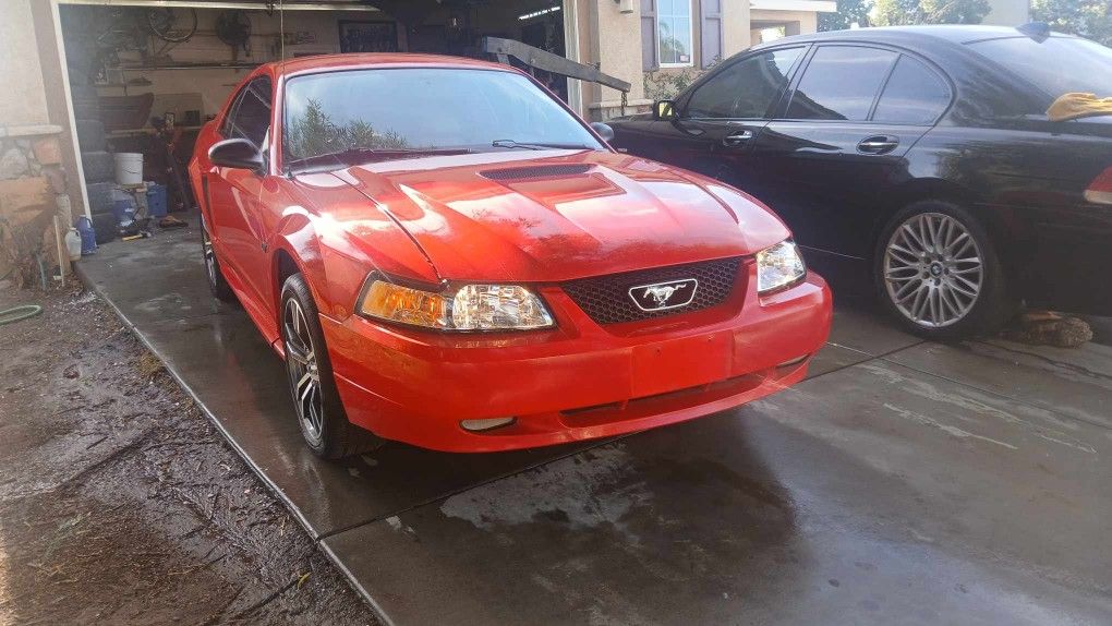 2000 Ford Mustang