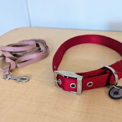 Dog Collar (New Large Nylon) & Pet Leash