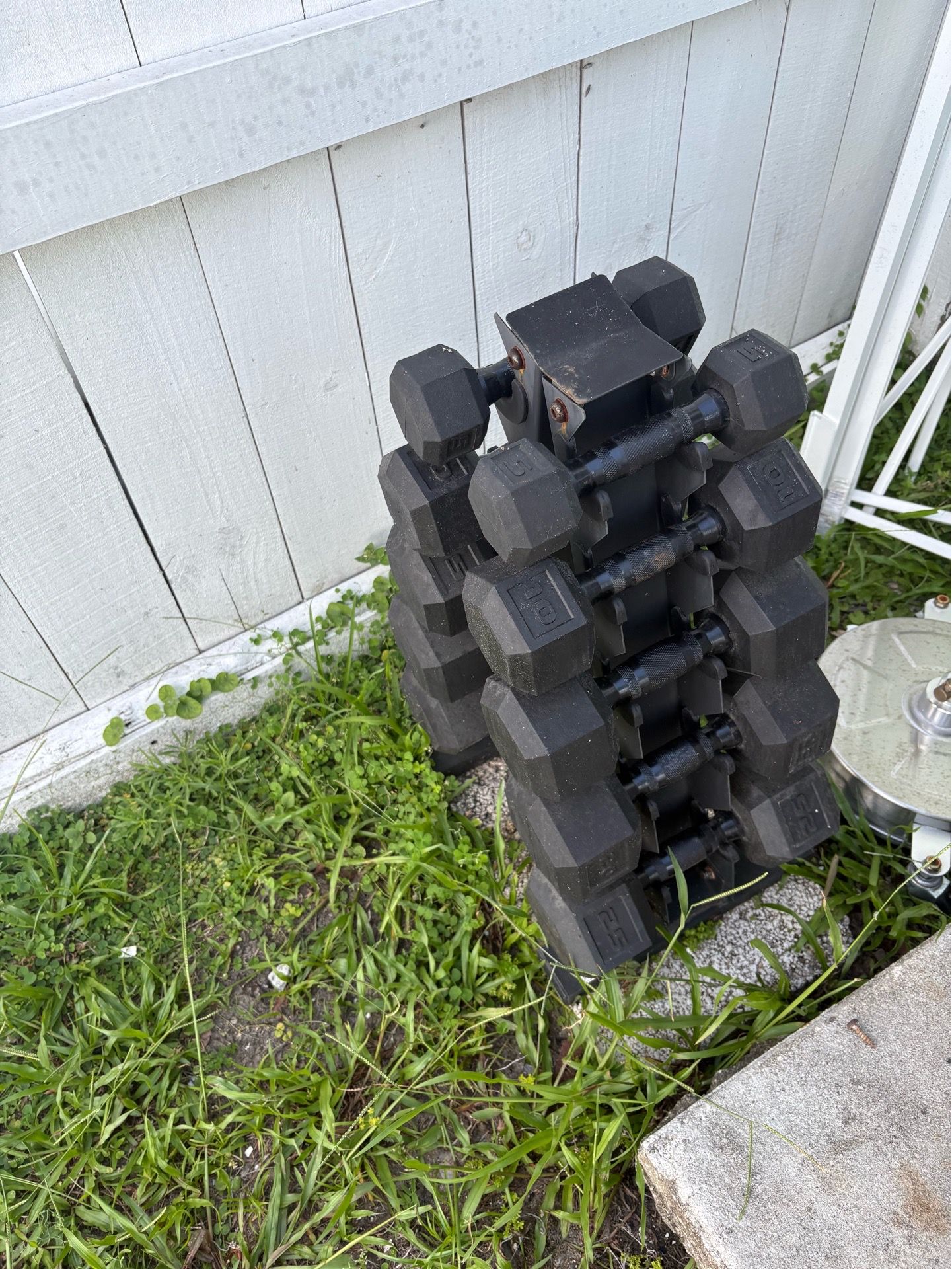 Dumbbell set