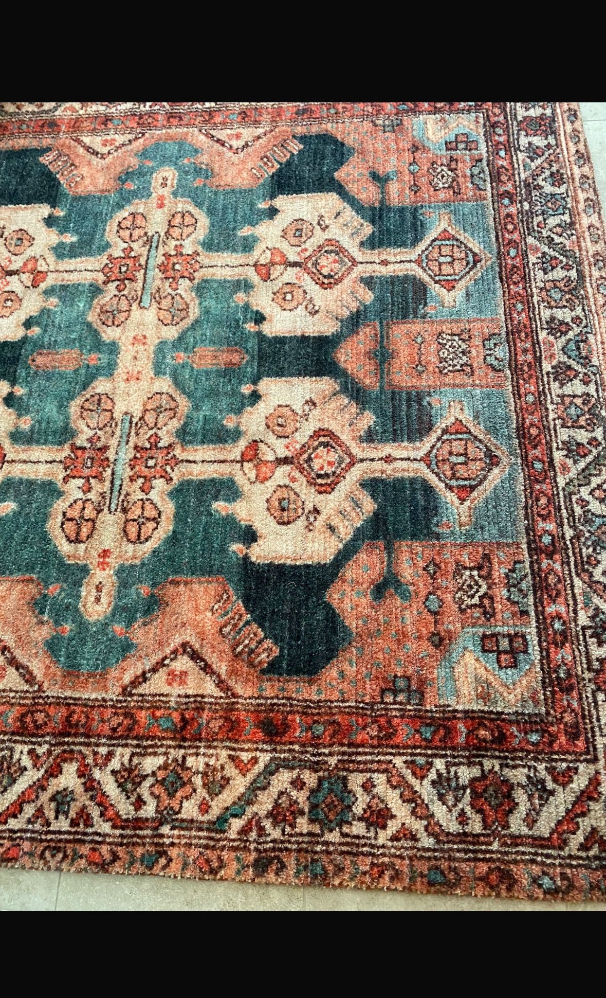 6’x9’ Zara Coral Persian Style Area Rug