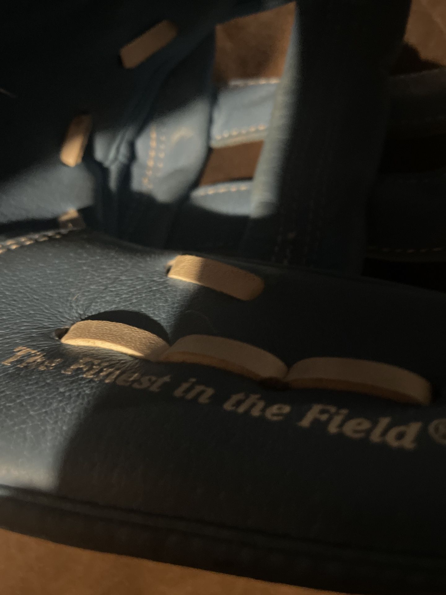 Rawlings Lefty Glove