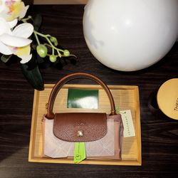 Longchamp Le Pliage small