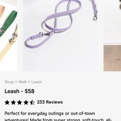 Wild One Lilac Small Leash 