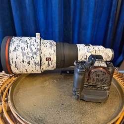 Sony A1 Camera and Sony FE 400 f2.8 Lens