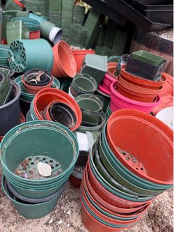 Free nursery pot