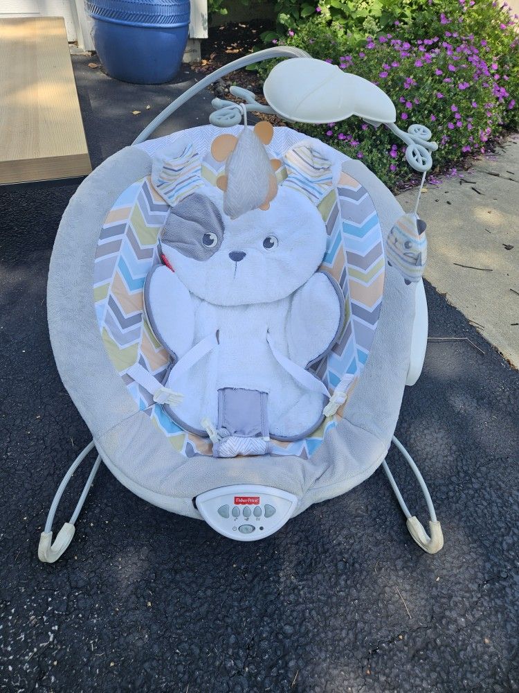 Fisher Price Baby Bouncer